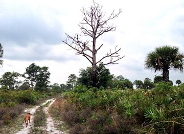 florida/sun-coast/landmark/saint-sebastian-river-preserve-state-park