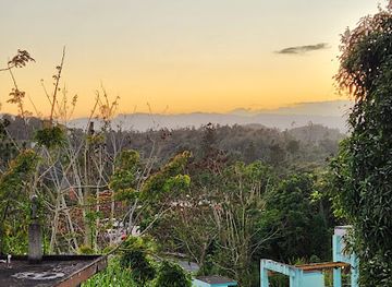 puerto-rico/sierra-de-cayey/landmark/cultura-bar-artesanal