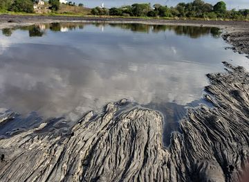 La Brea Pitch Lake