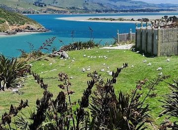 new-zealand/otago/landmark/taiaroa-head