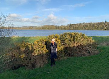 ireland/county-kilkenny/landmark/the-suir-triangle-ferrybank-co-kilkenny