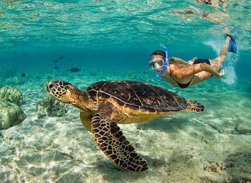 puerto-rico/culebra-island/landmark/aquatic-adventures