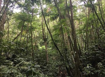 saint-lucia/canaries-quarter/landmark/millet-bird-sanctuary-and-nature-trail