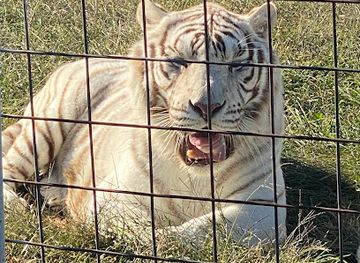 arkansas/eureka-springs/landmark/eureka-springs