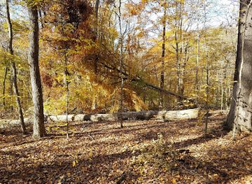indiana/morgan-monroe-state-forest/landmark/morgan-monroe-state-forest-office