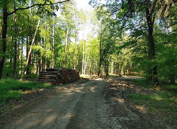 hungary/sopron-region/landmark/sopron-mountains