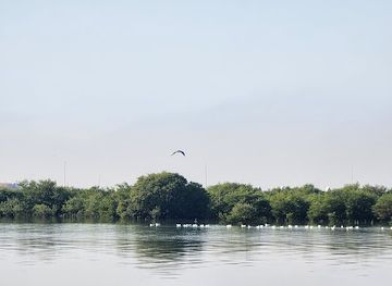 qatar/al-thakira-mangroves/landmark/al-ferkiah-beach
