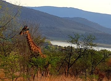 south-africa/pilanesberg-national-park/landmark/mankwe-dam