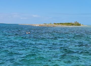 the-bahamas/grand-bahama-island/landmark/west-end-ecology-tours