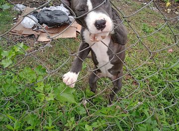 india/northeast-india/landmark/aan-states-junction