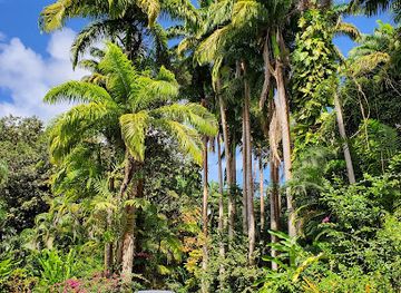 barbados/christ-church/landmark/flower-forest-botanical-gardens