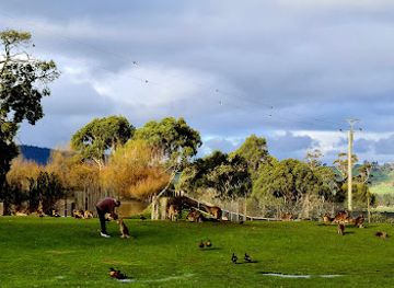 australia/far-west/landmark/trowunna-wildlife-sanctuary