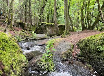 germany/upper-palatinate/landmark/holle-nature-reserve