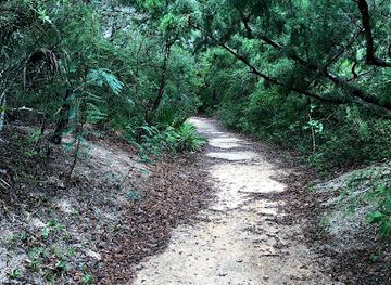florida/nature-coast/landmark/spanish-coquina-quarries