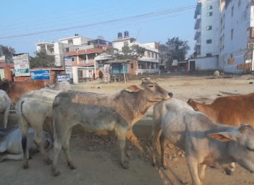 nepal/lumbini/landmark/lumbini-bazar