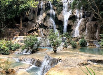 laos/bokeo-province/landmark/tat-kuang-si-bear-rescue-centre-free-the-bears