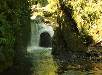 ecuador/mindo-cloud-forest/landmark/mindo-tours-udestplor-bird-watching