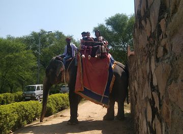 india/ranthambore/landmark/national-chambal-sanctuary