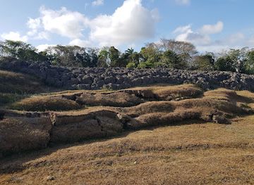 trinidad-and-tobago/aripo-caves/landmark/devil-s-woodyard