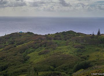 pitcairn-islands/buffalo-town/landmark/schmieriger-kian