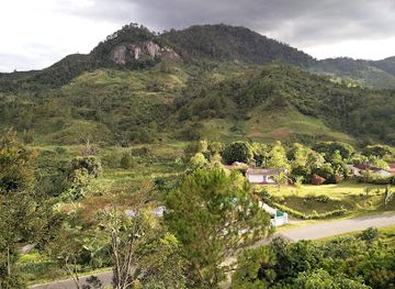 madagascar/fianarantsoa/landmark/ranomafana-national-park