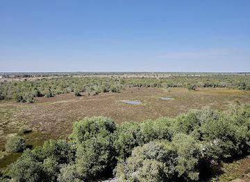 vietnam/south-central-coast/landmark/thap-canh-lua-vqg