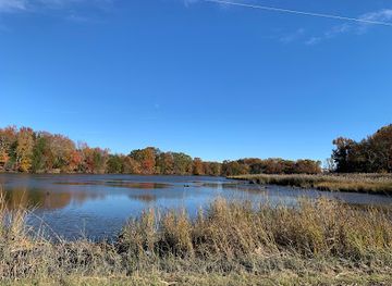 delaware/blackbird-state-forest/landmark/blackbird-creek-reserve