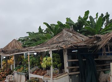 oman/salalah/landmark/al-haffa-beach