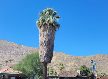 california/palm-springs/twin-palms/landmark/cornelia-white-house