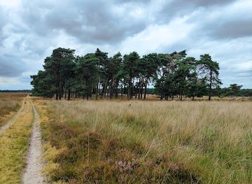 netherlands/veluwe/landmark/deelerwoud