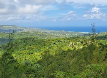 barbados/cherry-tree-hill/landmark/coco-hill-forest