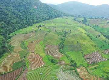 thailand/lanna/landmark/pa-pong-piang