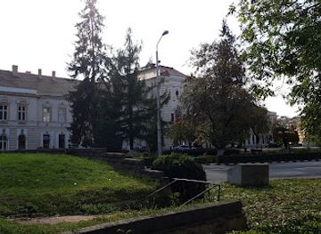 romania/salaj/landmark/cladirea-transilvania