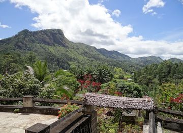 madagascar/betsiboka/landmark/reserve-peyrieras-madagascar-exotic