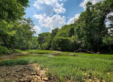 kentucky/knobs-region/landmark/knobs-state-forest-and-wma