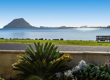 new-zealand/bay-of-plenty/landmark/things-to-do-in-tauranga