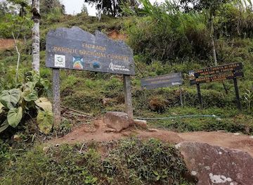 costa-rica/chirripo-national-park/landmark/entrada-al-sendero-parque-nacional-chirripo
