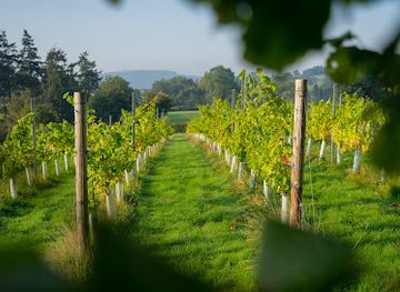 united-kingdom/radnorshire/attraction/whinyard-rocks-2