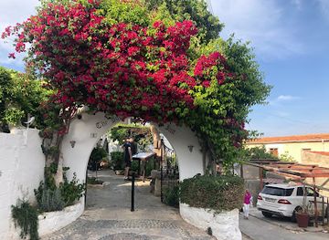 cyprus/pissouri-village/landmark/the-bunch-of-grapes-restaurant