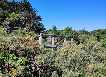 belgium/de-haan/landmark/duinbossen-de-haan-wenduine