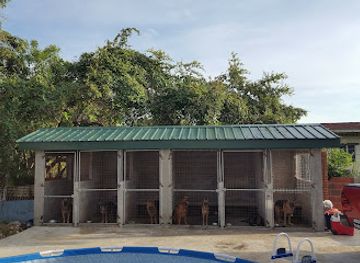 trinidad-and-tobago/tunapuna/landmark/golden-pride-veterinary-clinic-limited