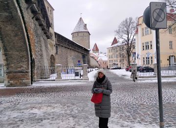 estonia/laane-county/landmark/nun-tower
