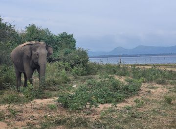 sri-lanka/bentota/landmark/bentota-travel-mart