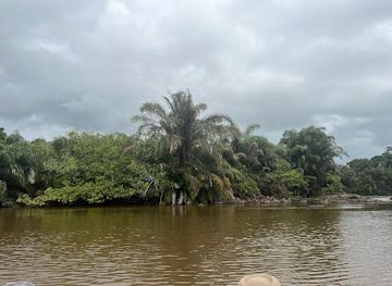 liberia/western-region/landmark/tiwai-island