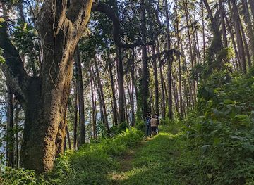 sri-lanka/matale-district/landmark/wiltshire