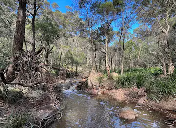 Sixty Foot Falls