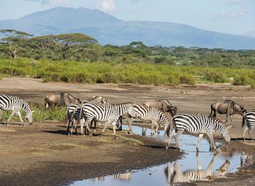 tanzania/tarangire-national-park/landmark/burigi-chato-safaris-co-ltd-tanzania-serengeti-safaris-kilimanjaro-climbing-hiking-zanzibar-tour-operators