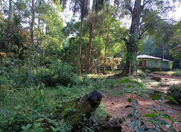 nigeria/owu-forest-reserve/landmark/okomu-national-park