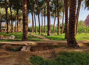 saudi-arabia/al-ula/landmark/dates-palm-swings