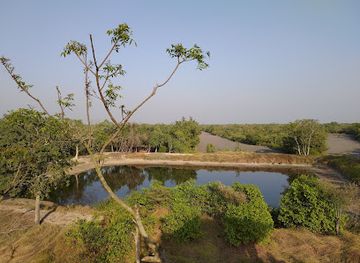 india/sundarbans/landmark/sudhanyakhali-watch-tower